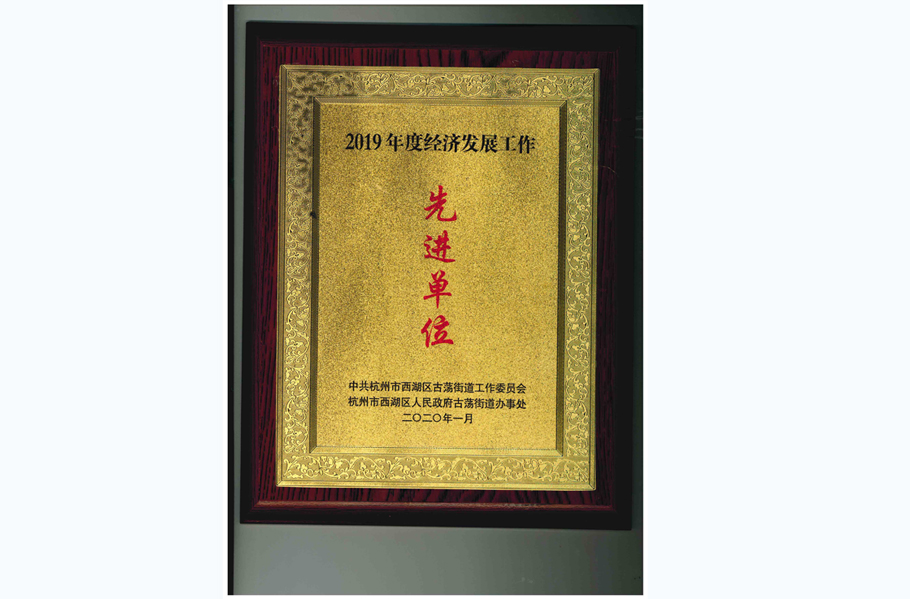 2019年度經濟發(fā)展工作先進單位